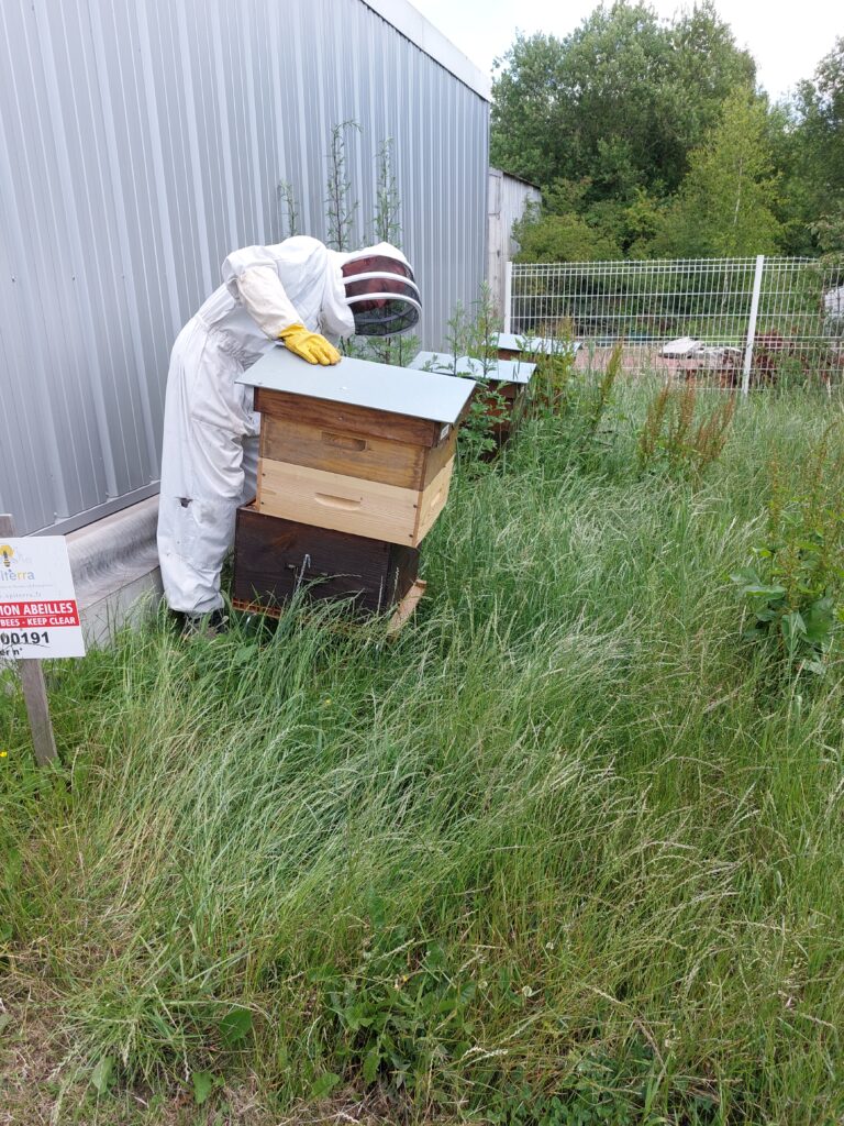 Nord Asphalte apiculture